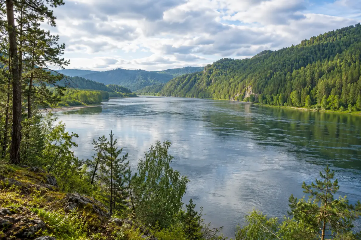 Река и лесистый склон
